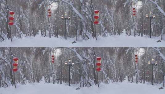 新疆阿勒泰桦林公园冬景高清在线视频素材下载