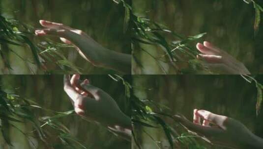 女性伸手抚摸树叶竹叶视频素材高清在线视频素材下载