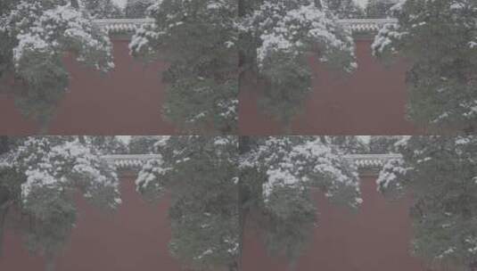 北京雪景 北京下雪高清在线视频素材下载