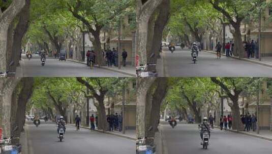 上海·武康大楼·绿荫树下·空镜头4K高清在线视频素材下载