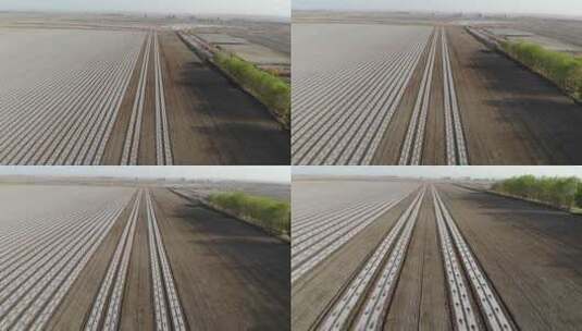 航拍中国新疆春季 棉花机械播种高清在线视频素材下载