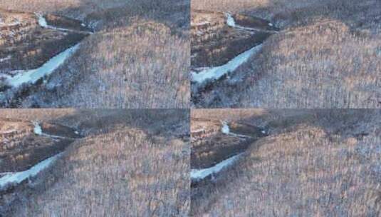 航拍林海雪原白桦林风景高清在线视频素材下载