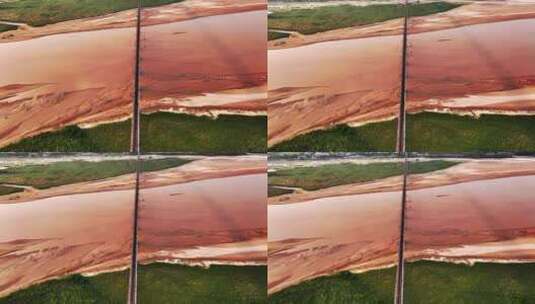 黄河滩涂生命之树高清在线视频素材下载