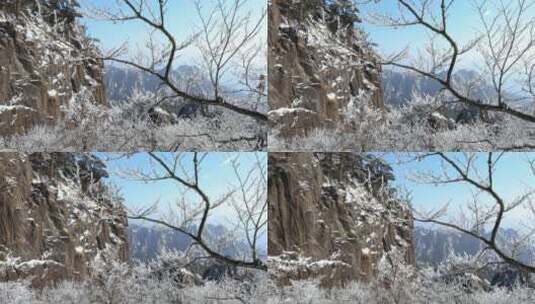 安徽黄山冬天雾凇美景高清在线视频素材下载