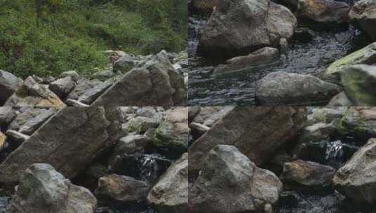 宣传片 丛林溪流岩石 自然风光高清在线视频素材下载