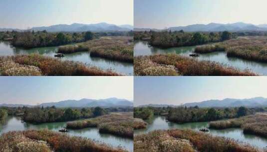 中国杭州西溪湿地秋日美景高清在线视频素材下载