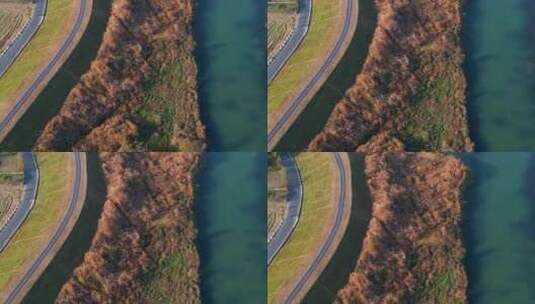 杭州余杭区北湖草荡湿地秋天风光航拍高清在线视频素材下载