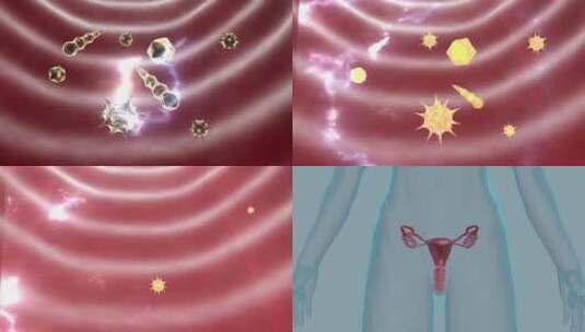 子宫 阴道杀菌 清洗女性生殖健康 健康卫生高清在线视频素材下载