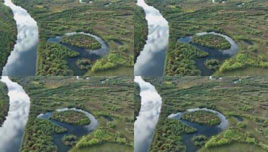 呼伦贝尔风光根河湿地额尔古纳风景区秋景高清在线视频素材下载