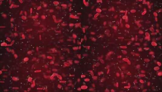 红细胞 细胞 血小板高清在线视频素材下载