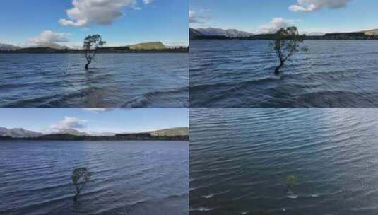 航拍新西兰瓦纳卡湖风光高清在线视频素材下载