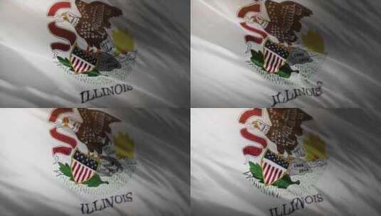 伊利诺伊州国旗挥舞-4K高清在线视频素材下载