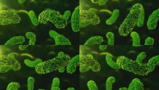 肠道内的菌落、微生物组和细菌或病菌。人体高清在线视频素材下载