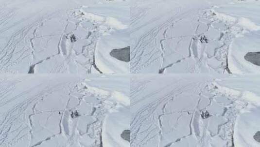 北极巴布亚企鹅跳过冰裂缝天线高清在线视频素材下载