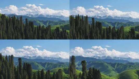 新疆恰西唯美震撼森林雪山航拍11高清在线视频素材下载