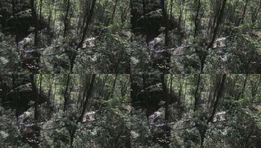 森林里的滑道 余姚丹山赤水高清在线视频素材下载