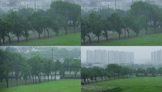 台风暴雨中的绿地树林高清在线视频素材下载