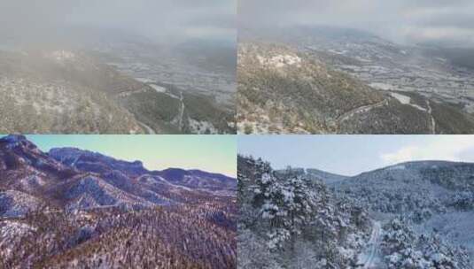 唯美树林自然雪景高清在线视频素材下载