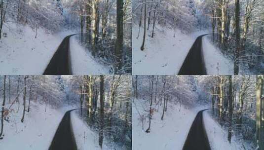 航拍在积雪覆盖的森林中的小路高清在线视频素材下载