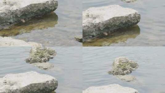 河岸边的石头高清在线视频素材下载