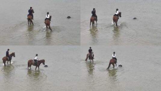 航拍俯瞰威海市环翠区金海路沙滩上的骑马人高清在线视频素材下载