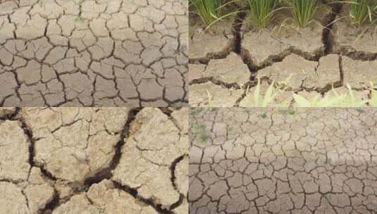 干涸的土地缺水旱灾高清在线视频素材下载