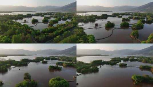 航拍四川大凉山西昌邛海湿地公园风光高清在线视频素材下载