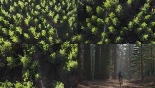 森林里的骑行高清在线视频素材下载
