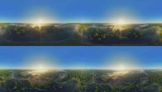 VR360清晨薄雾缭绕春季森林全景视频01高清在线视频素材下载