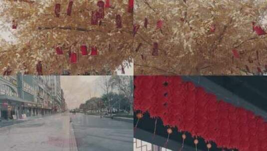 桂林板路文化街春节发财树街景高清在线视频素材下载