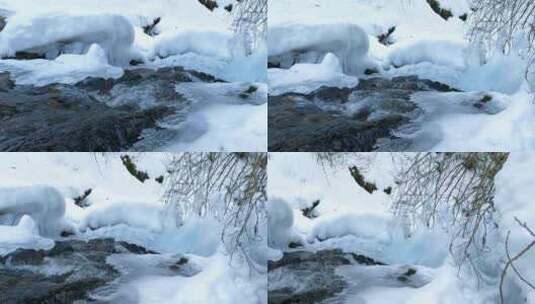 森林被大雪覆盖冰雪逐渐融化高清在线视频素材下载