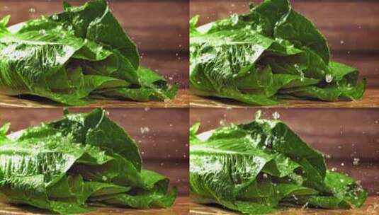 绿色生菜 新鲜蔬菜高清在线视频素材下载