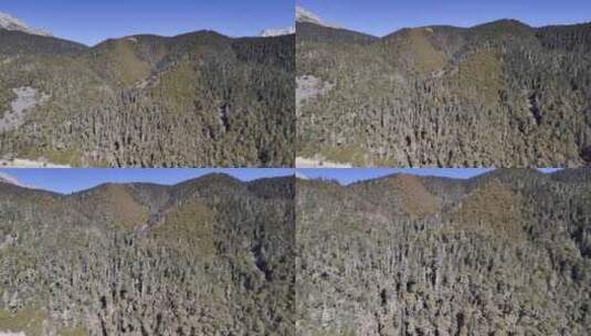 高山高原森林蓝天高清在线视频素材下载