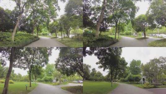 公园树林植物小道运镜空镜头高清在线视频素材下载