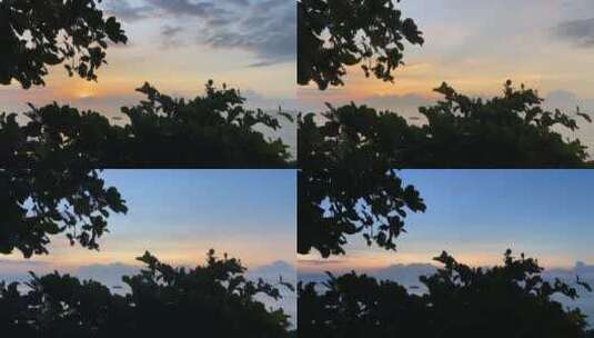 透过树叶的日出日落延时摄影高清在线视频素材下载
