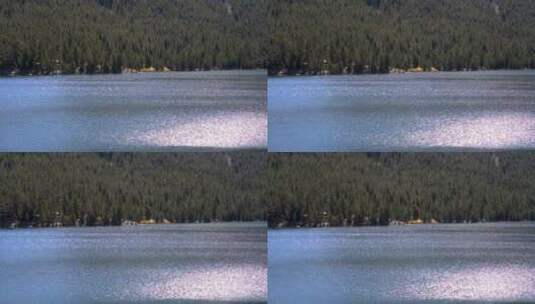 森林之滨的平静湖面高清在线视频素材下载