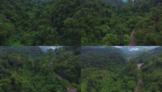 航拍原始森林3高清在线视频素材下载