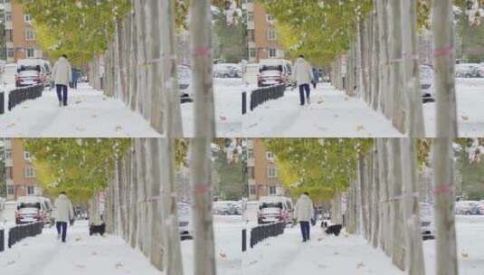 城市大雪高清在线视频素材下载