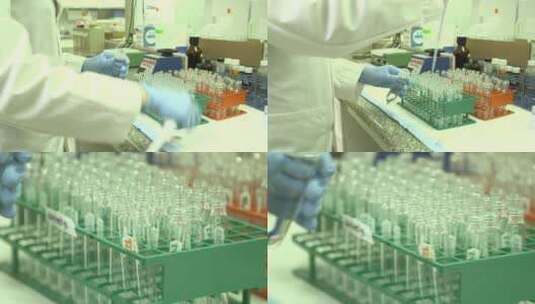 在实验室工作测试禽流感的专家高清在线视频素材下载