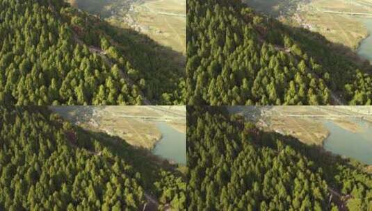 无人机环绕树林高清在线视频素材下载
