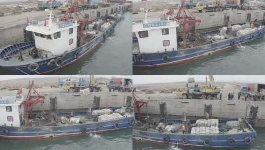 港口码头岸边停靠的渔船高清在线视频素材下载