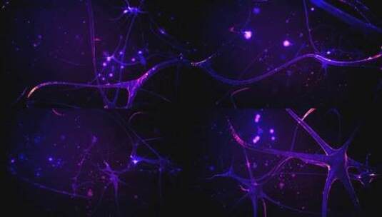 大脑神经元高清在线视频素材下载