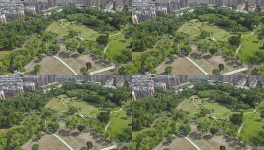 上海大宁郁金香公园4K航拍原素材高清在线视频素材下载