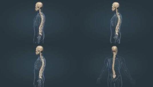 脊柱的疾病7高清在线视频素材下载