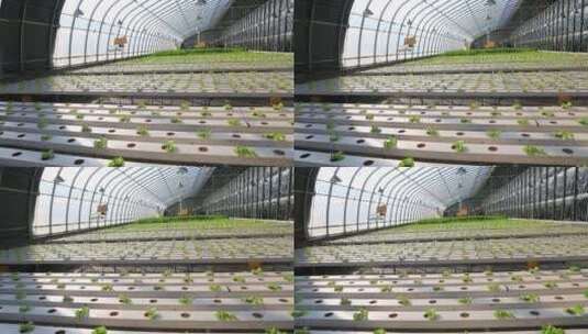 现代化农业温室大棚设施高清在线视频素材下载
