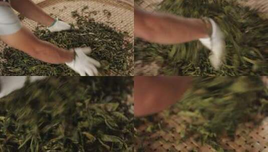 茶农制茶传统手工揉捻茶工艺高清在线视频素材下载