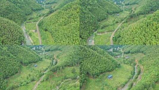 森林公园野茶茶山茶田航拍前进高清在线视频素材下载