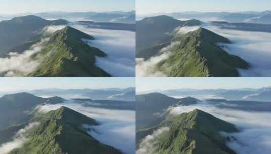 茂密的森林与云海环绕的山高清在线视频素材下载