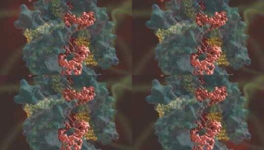 生物科学 基因编辑 DNA 基因工程 医学动画高清在线视频素材下载