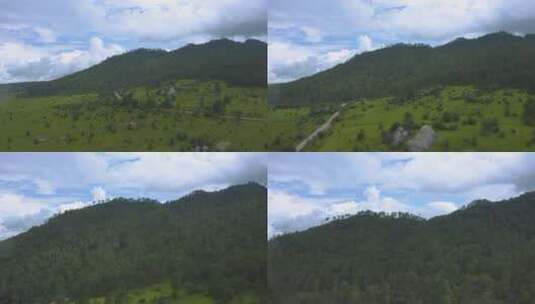 飞越树木覆盖的山脉高清在线视频素材下载